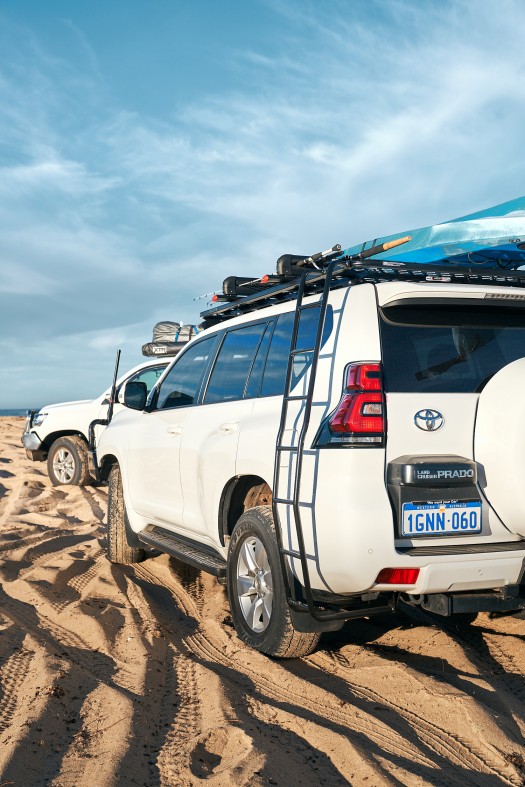 Side Fixed Ladder Kit 120 Prado (Flat Rack)